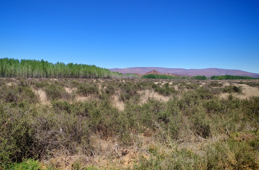4 Bedroom Property for Sale in Middelburg Rural Eastern Cape